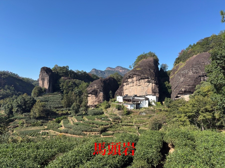 来年は午年なので・・・