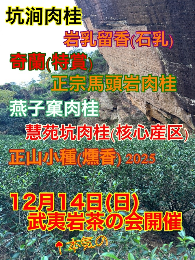 12月14日岩茶の会のお知らせです