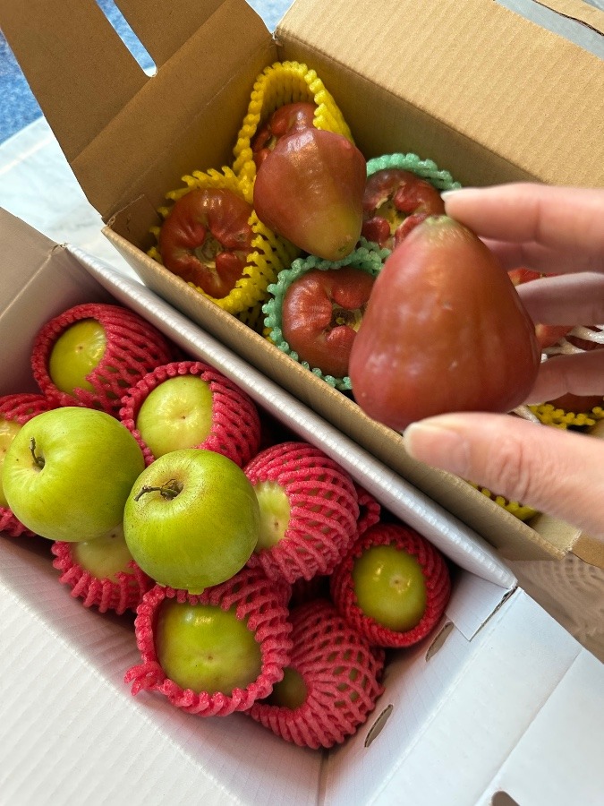 台湾のフルーツ