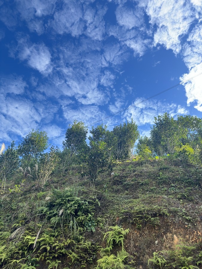 広西省龍脊棚田の更に奥・・・